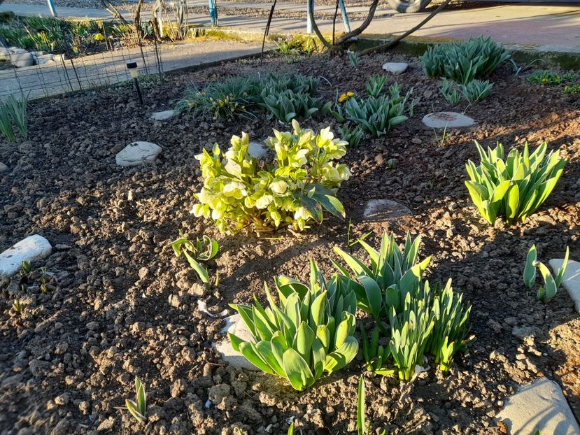  - 1 Bucurii nemuritoare 2023