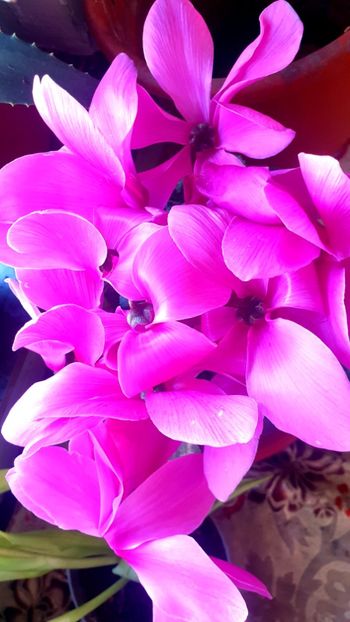  - Universul si Natura