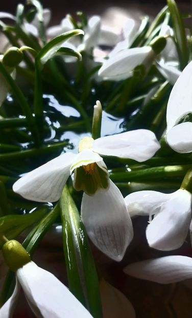  - Universul si Natura