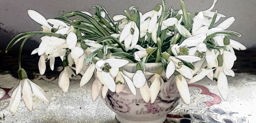  - Universul si Natura