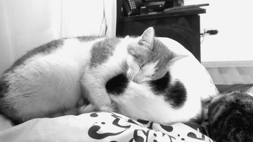  - Universul si Natura