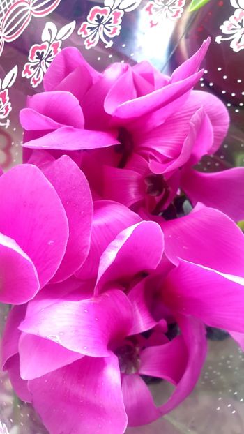  - Universul si Natura