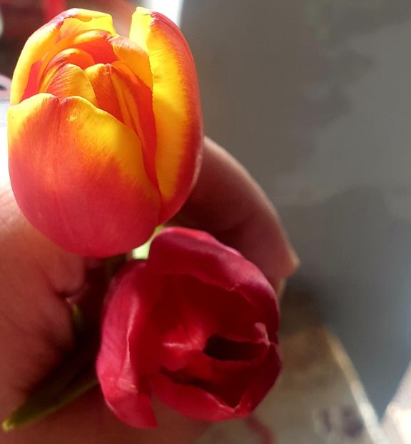  - Universul si Natura