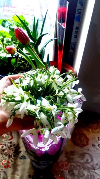  - Universul si Natura