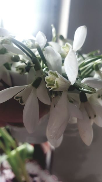  - Universul si Natura