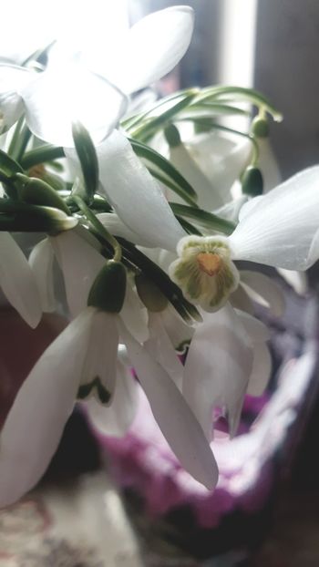  - Universul si Natura