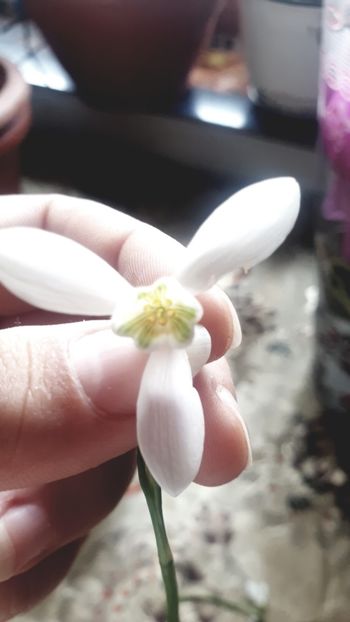  - Universul si Natura