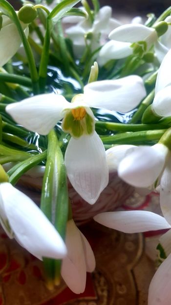  - Universul si Natura