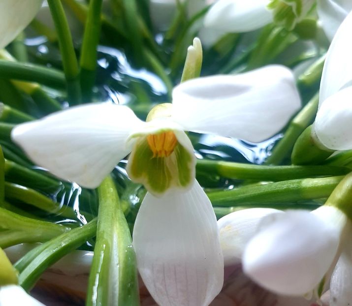  - Universul si Natura