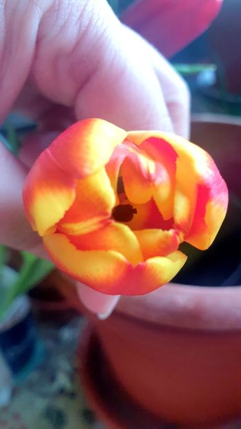  - Universul si Natura