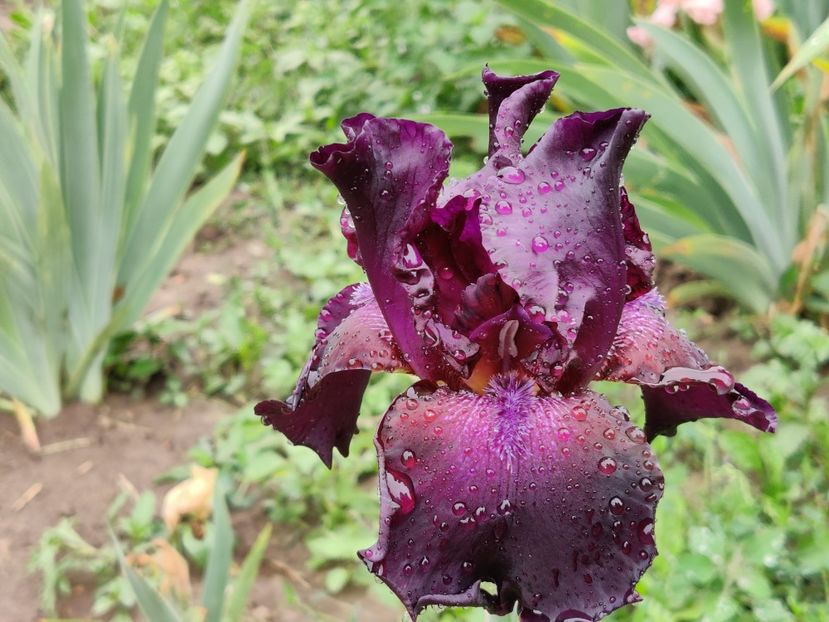 Superstition - Sa - Z