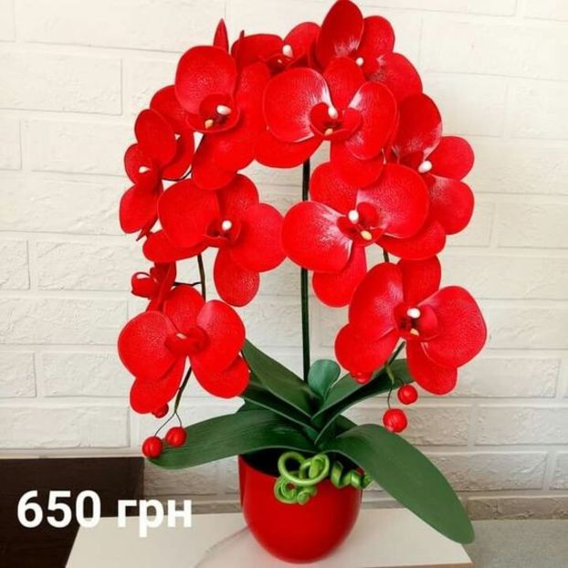 e8325d481069f2ff097597b1368c88f5 - Orhidee