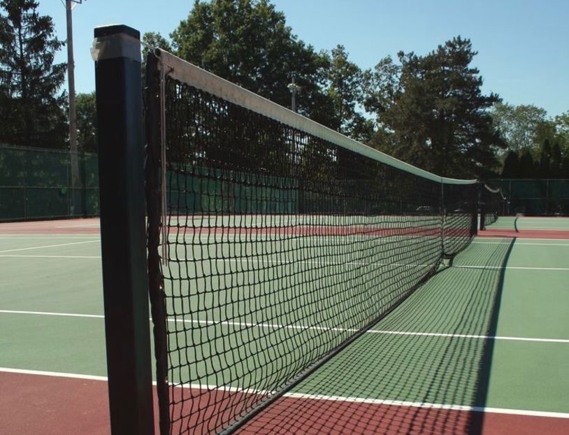 ⸺ the tennis court ⸺ - Collection of Tintypes