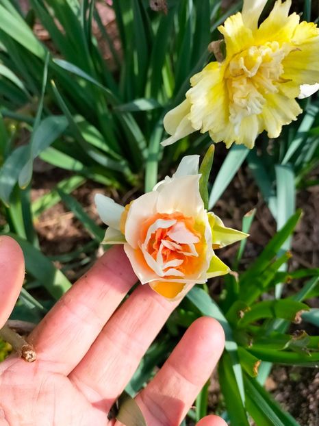 IMG20230320084019 - Martie 2023