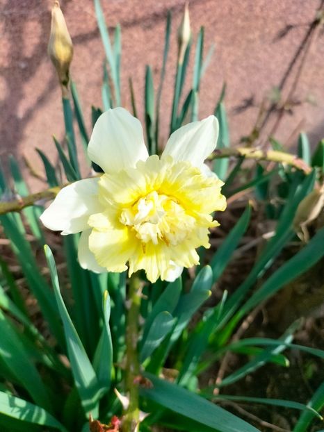 IMG20230320084015 - Martie 2023