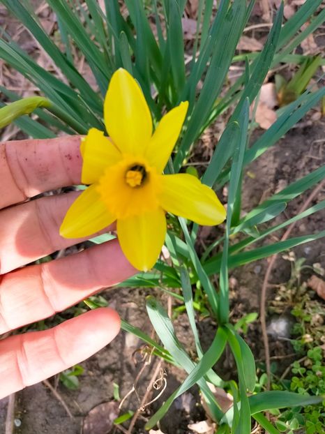 IMG20230320083952 - Martie 2023