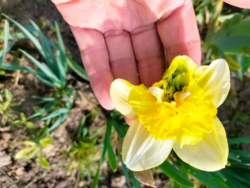 IMG20230320083705 - Martie 2023