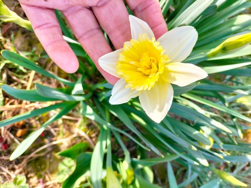 IMG20230320083609 - Martie 2023