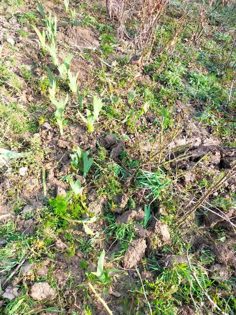 IMG20230320083509 - Martie 2023