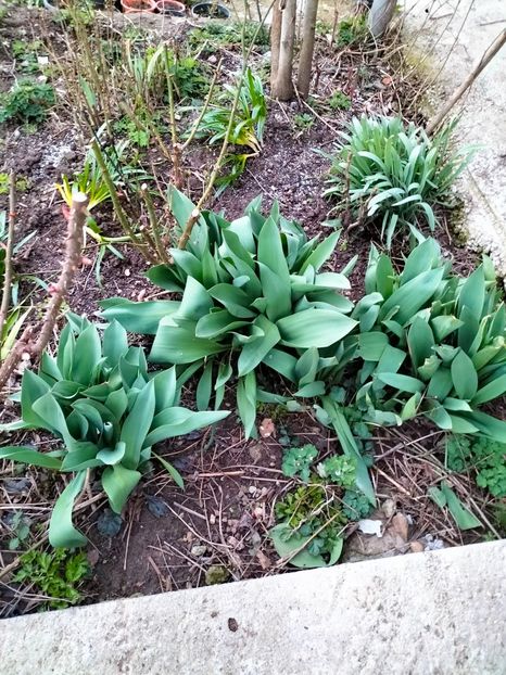 IMG20230318183517 - Martie 2023