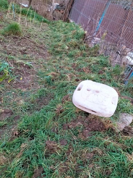 IMG20230318183428 - Martie 2023