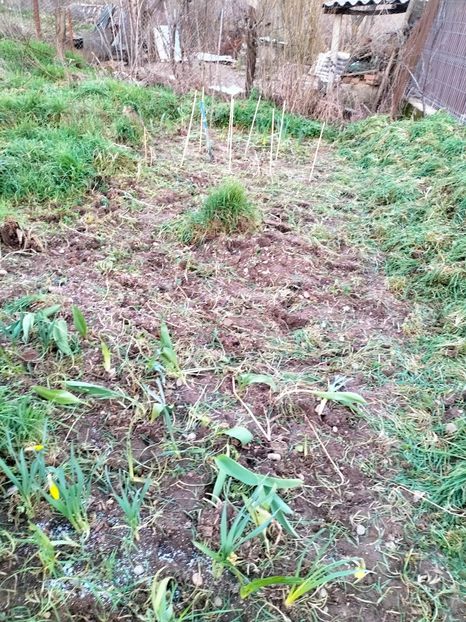 IMG20230318183330 - Martie 2023