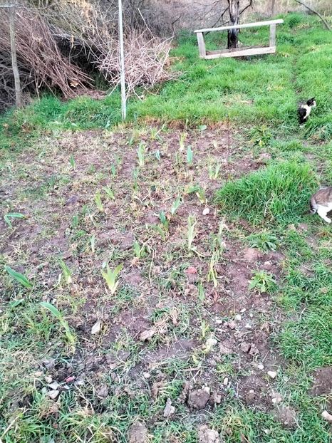 IMG20230318183317 - Martie 2023