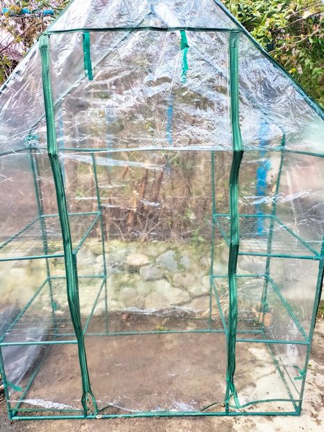 IMG20230317133545 - Martie 2023