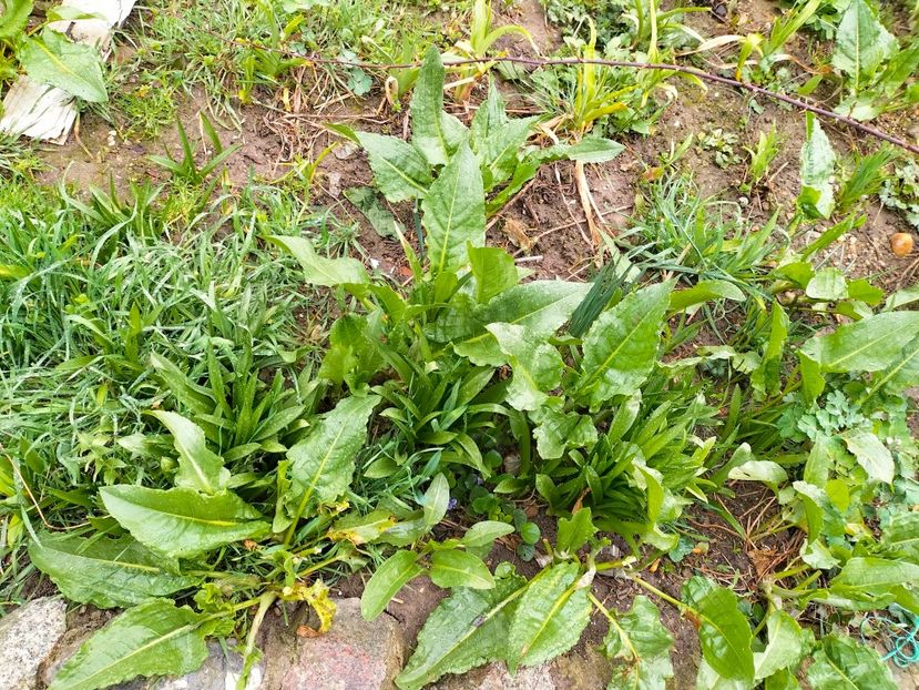 IMG20230317095833 - Martie 2023