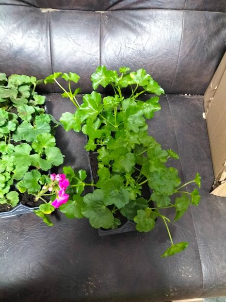 IMG20230316190141 - Martie 2023