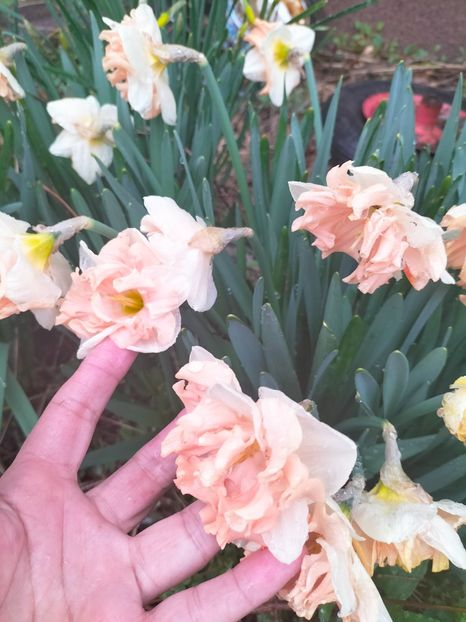 IMG20230316111643 - Martie 2023