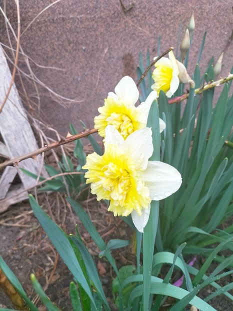 IMG20230316111626 - Martie 2023