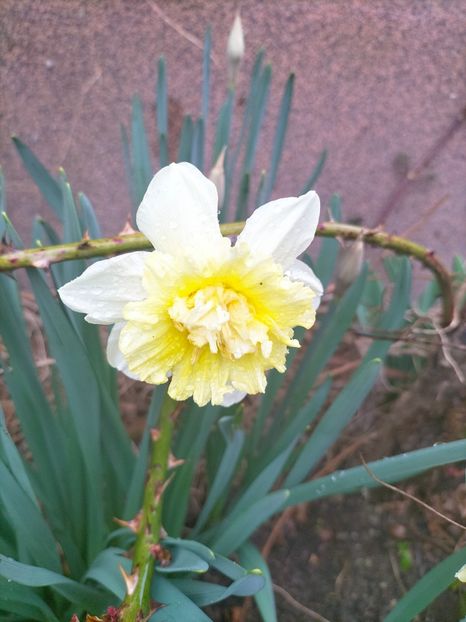 IMG20230316111622 - Martie 2023