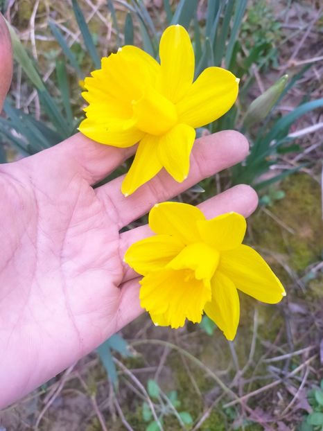 IMG20230315084301 - Martie 2023