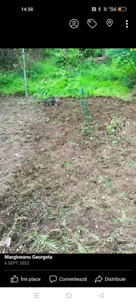 Screenshot_2023-03-14-14-38-49-88_a23b203fd3aafc6dcb84e438dda678b6 - Martie 2023