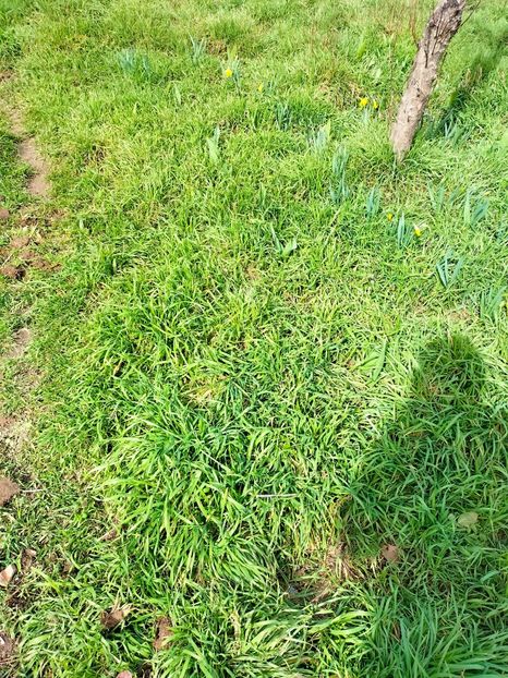 IMG20230314142046 - Martie 2023