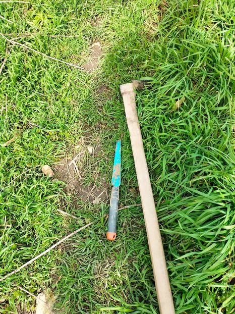 IMG20230314124755 - Martie 2023