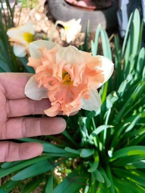 IMG20230314103942 - Martie 2023