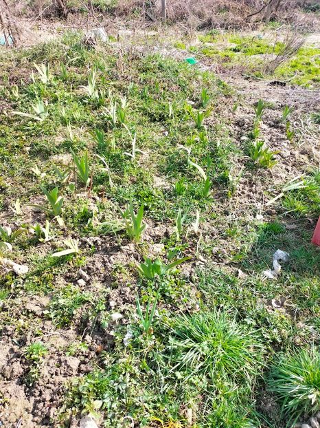 IMG20230314103153 - Martie 2023