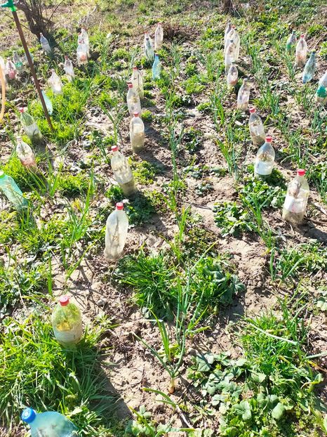 IMG20230314094333 - Martie 2023