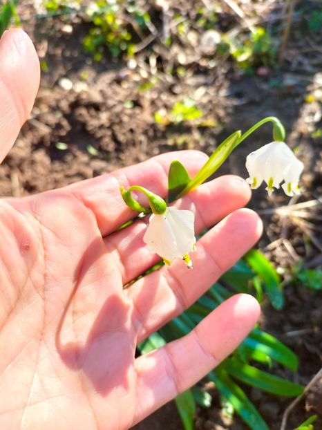 IMG20230313085147 - Martie 2023