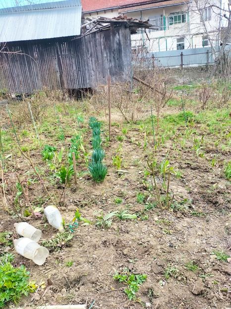 IMG20230309114034 - Martie 2023