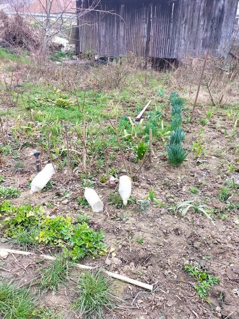 IMG20230309102605 - Martie 2023