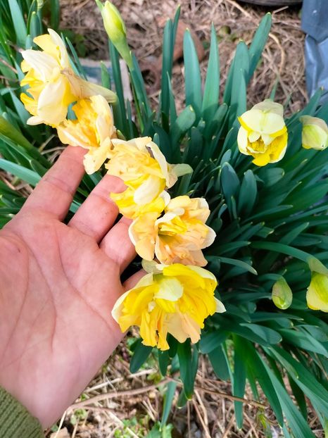 IMG20230308132018 - Martie 2023