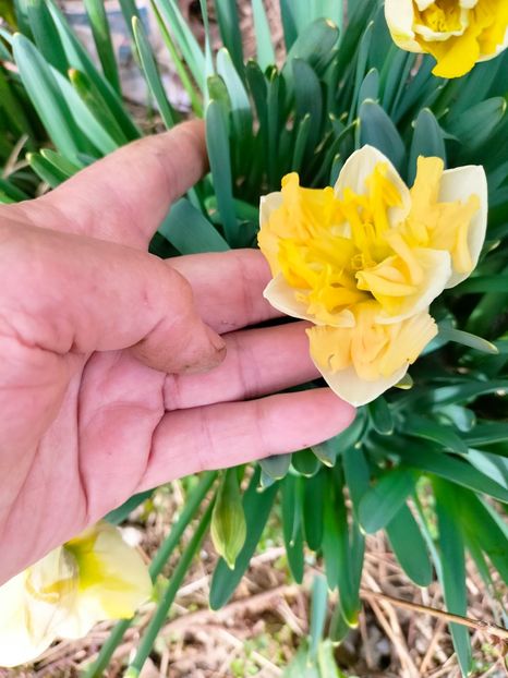 IMG20230308132013 - Martie 2023