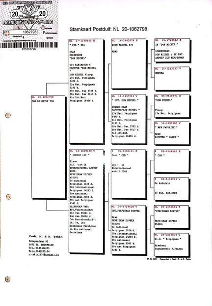NL20-1062798 - COR DE HEIJDE