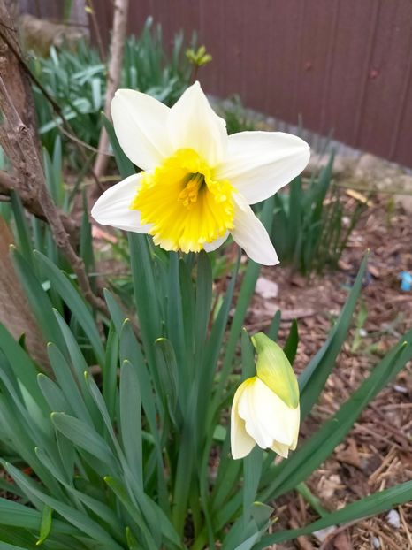 IMG20230321084028 - Martie 2023