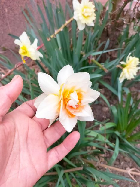 IMG20230321083943 - Martie 2023