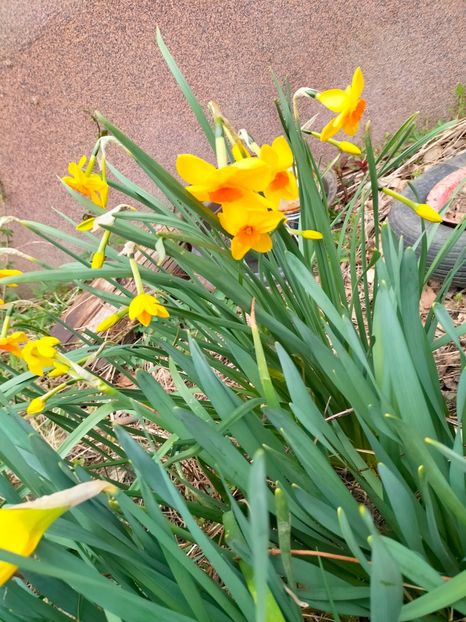 IMG20230321083928 - Martie 2023