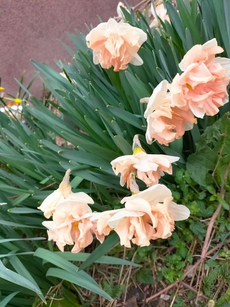 IMG20230321083923 - Martie 2023